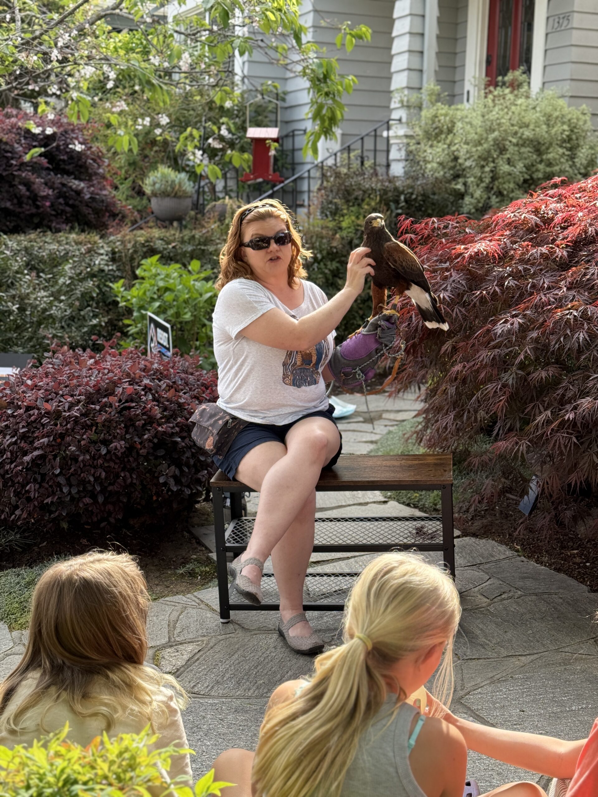 Person outside with a falcon in her hand